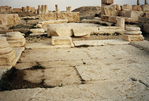 Vorschaubild Palmyra, Senat